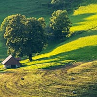 Assurance agricole : protégez votre ferme efficacement