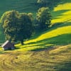 Assurance agricole : protégez votre ferme efficacement