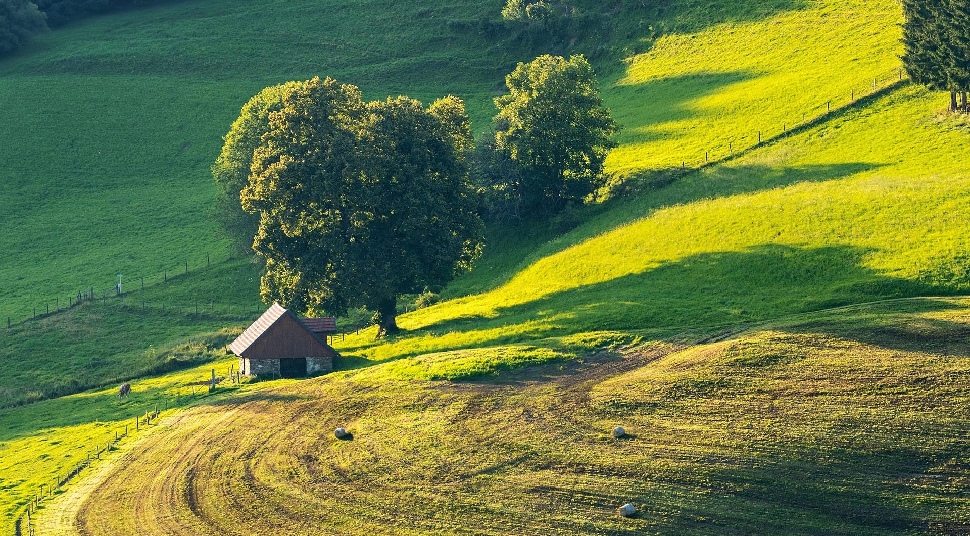 Assurance agricole : protégez votre ferme efficacement
